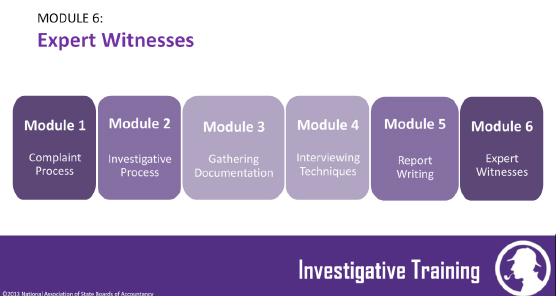 Expert Witness Module Expert Witness Image